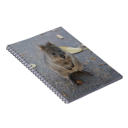 Carnet Quokka (Côté Droit)