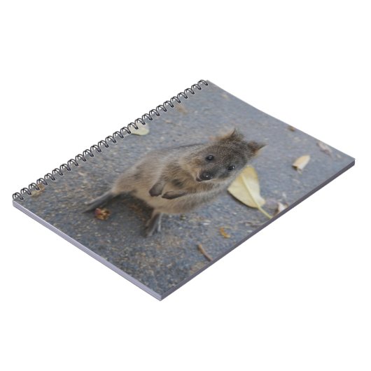 Carnet Quokka (Côté gauche)