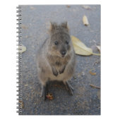 Carnet Quokka (Devant)