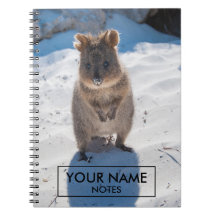 Quokka Personnalisée Sur La Plage