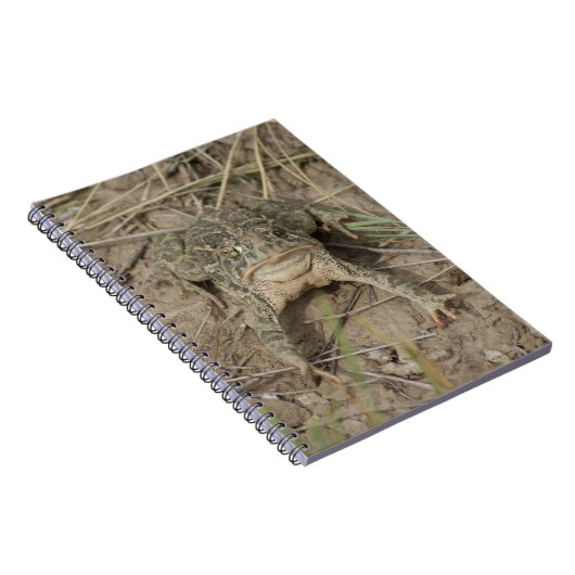 Carnet R10 Prairie Toad (Côté Droit)