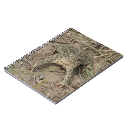 Carnet R10 Prairie Toad (Côté gauche)