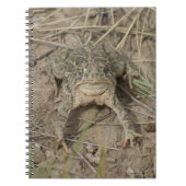 Carnet R10 Prairie Toad (Devant)