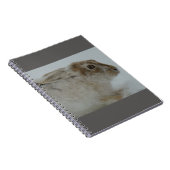 Carnet R11 Tir de tête de lièvre de raquette (Côté Droit)