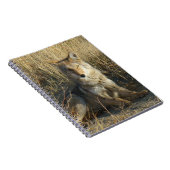 Carnet R15 Coyote Laying (Côté Droit)