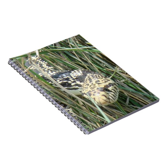 Carnet R4 Bull (Côté Droit)