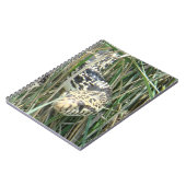 Carnet R4 Couleuvre gophère (Côté gauche)