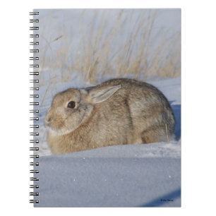 Carnet R5 Cottontail Rabbit in Snow