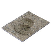 Carnet R9 Serpent à sonnette de prairie (Côté gauche)