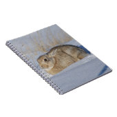 Carnet Rabbit de coton R5 en neige (Côté Droit)