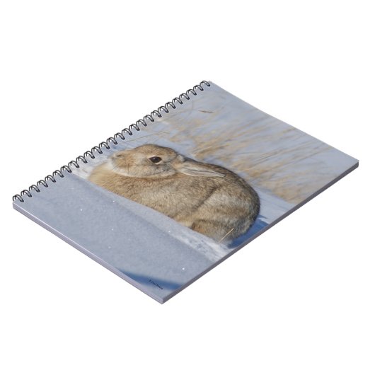 Carnet Rabbit de coton R5 en neige (Côté gauche)