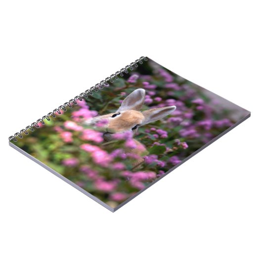 Carnet Rabbit farm (Côté gauche)