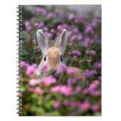 Carnet Rabbit farm (Devant)