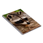 Carnet Raccoon (Côté Droit)