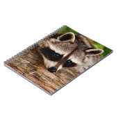 Carnet Raccoon (Côté gauche)