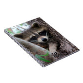 Carnet Raccoon (Côté Droit)