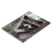 Carnet Raccoon (Côté gauche)