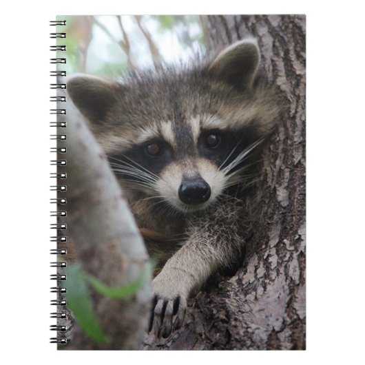 Carnet Raccoon (Devant)