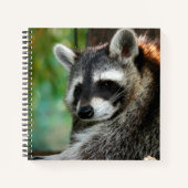 Carnet Raccoon 001 (Devant)