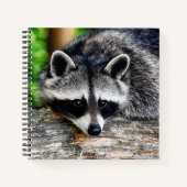 Carnet Raccoon 003 (Devant)