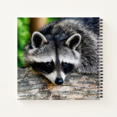 Carnet Raccoon 003 (Dos)