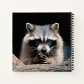 Carnet Raccoon 004 (Dos)