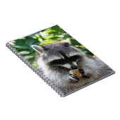 Carnet Raccoon 004 (Côté Droit)
