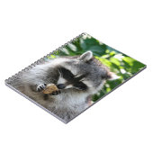 Carnet Raccoon 004 (Côté gauche)