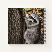 Carnet Raccoon sauvage (Dos)