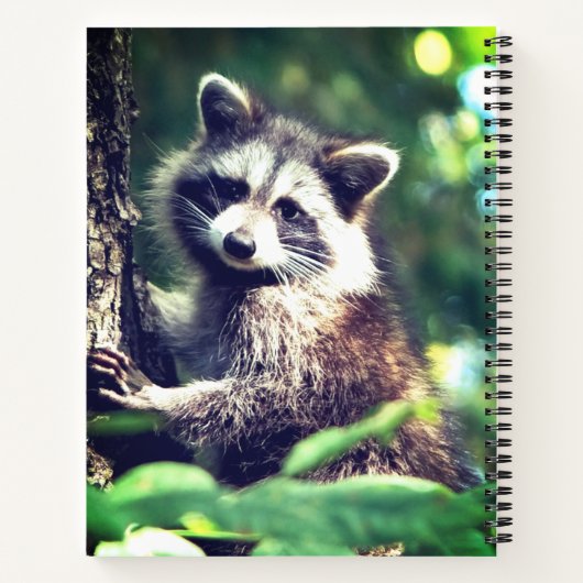 Carnet Raccoon sauvage dans la jungle (Dos)