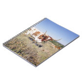 Carnet Race du Texas Longhorn (photo) (Côté gauche)