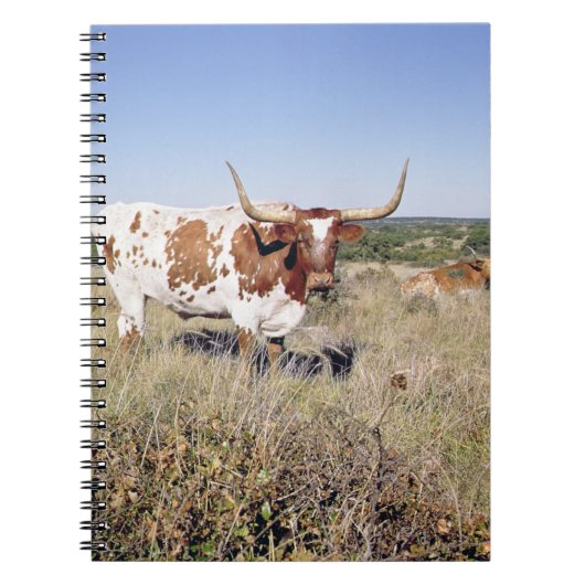 Carnet Race du Texas Longhorn (photo) (Devant)