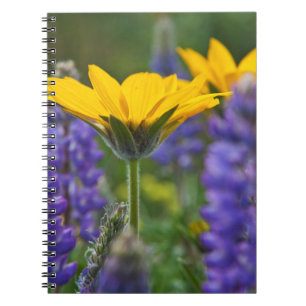 Carnet Racine de baume à feuilles de flèche et lupin en f