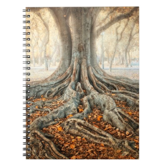 Carnet Racines de l'arbre antique (Devant)