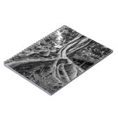Carnet Racines massives d'un arbre à caoutchouc (Côté gauche)