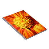 Carnet Radiant Orange Flower Macro Notebook Nature Photo (Côté Droit)