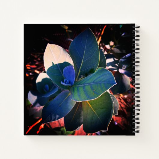 Carnet Rafraîchissement (Dos)