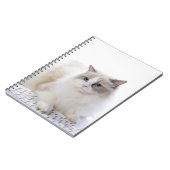 Carnet Ragdoll cat sur le clavier de l'ordinateur (Côté gauche)