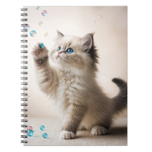 Carnet Ragdoll Kitten Jouer Avec Des Bulles De Savon