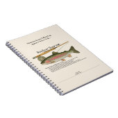 Carnet Rainbow Mountain Stream Fishing Log Photo Notebook (Côté Droit)