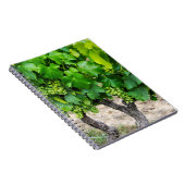 Carnet Raisin de cuve, France (Côté Droit)