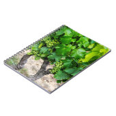 Carnet Raisin de cuve, France (Côté gauche)