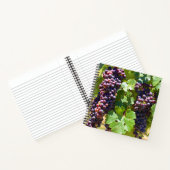 Carnet Raisins (Intérieur)