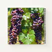 Carnet Raisins (Dos)