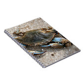 Carnet Rampement de crabe bleu (Côté Droit)