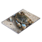 Carnet Rampement de crabe bleu (Côté gauche)