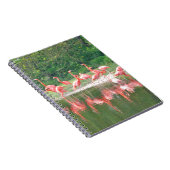 Carnet Rangée de Flamant rose au lac au printemps, Oiseau (Côté Droit)