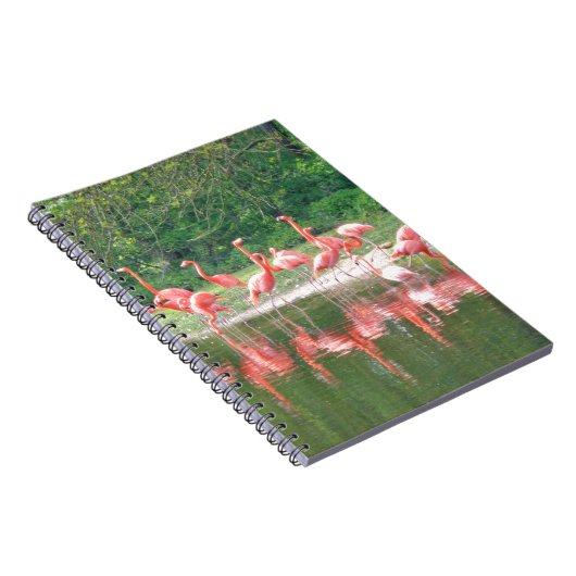 Carnet Rangée de Flamant rose au lac au printemps, Oiseau (Côté Droit)