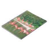 Carnet Rangée de Flamant rose au lac au printemps, Oiseau (Côté gauche)