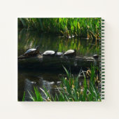 Carnet Rangée de tortues Green Nature Photo (Dos)